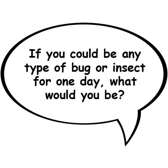 🗣️💬 SALE/RARE Teen Talk in a Jar - Picture 5 of 8